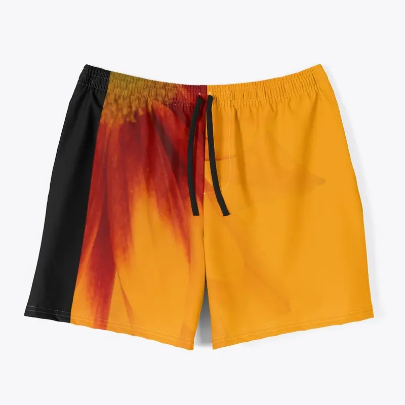 Men's Swim Trunks